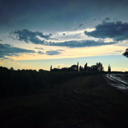 Capture d’écran 2021-07-10 à 02.17.01